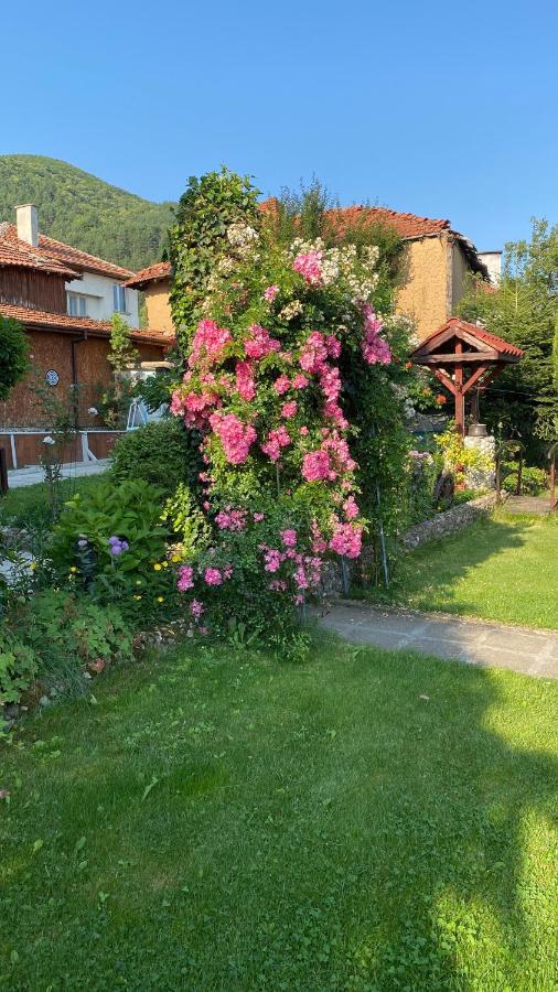 Guest House Simona Sapareva Banya ภายนอก รูปภาพ