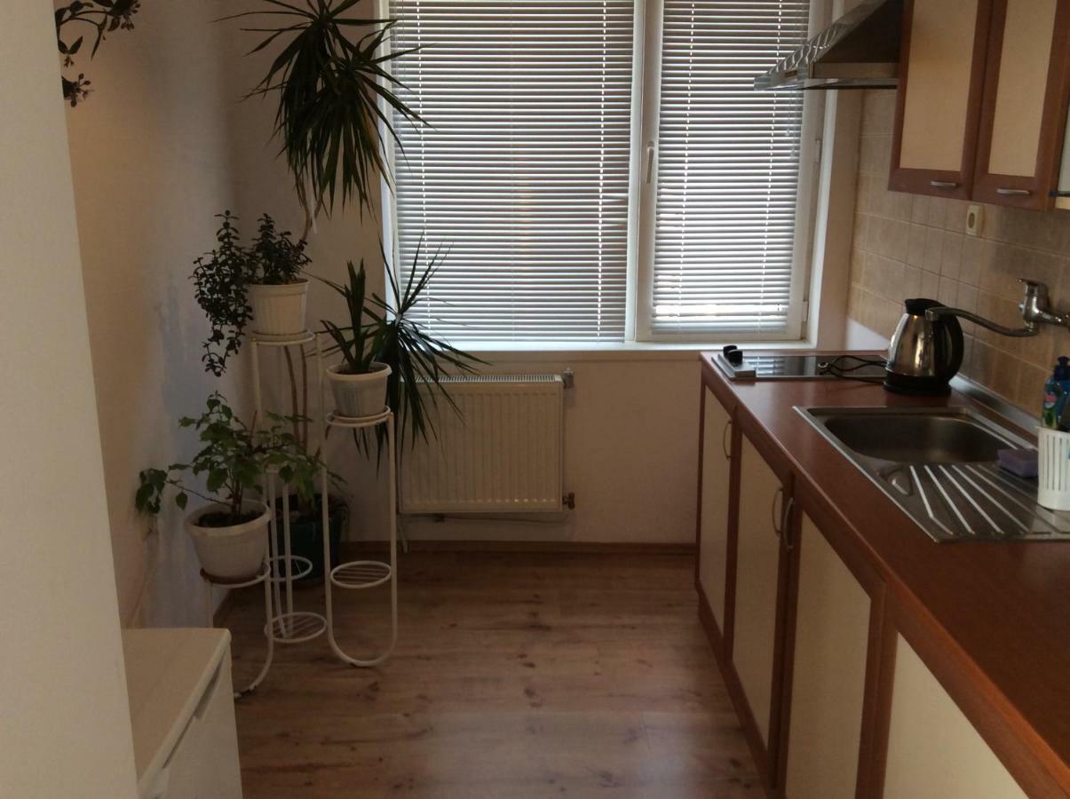 Guest House Simona Sapareva Banya ภายนอก รูปภาพ